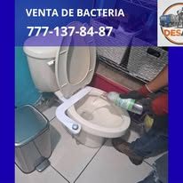 Venta de bacteria para sanitario